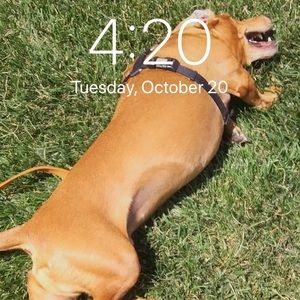 Meet your Posher, Daniel